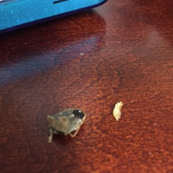 Zaxbys - There has been much debate as to weather this is a stink bug or a roach...either way it's gross! - Fast Food Near Me - Fernandina Beach, Florida