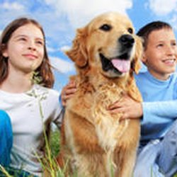 Winona Veterinary Hospital
