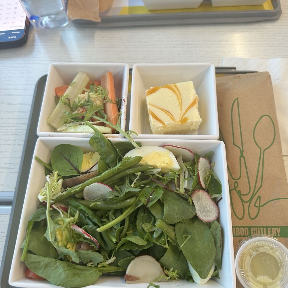 Brightline Orlando Station - Lunch on the Brightline for the premium seat. Vegetarian option that includes a hummus side and mango cheesecake. - Train Stations Near Me - Orlando, Florida Brightline Orlando Station - Lunch on the Brightline for the premium seat. Vegetarian option that includes a hummus side and mango cheesecake. - Train Stations Near Me - Orlando, Florida