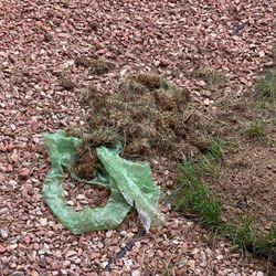 All Seasons Sprinklers and Sewer - The crew and owner have missed this three times