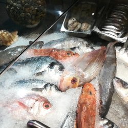 Clube do Peixe