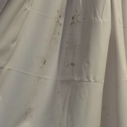 Moldy shower curtain Moldy shower curtain