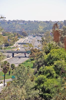 Presidio Park by null