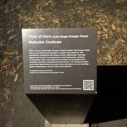 Field of Corn Sculpture