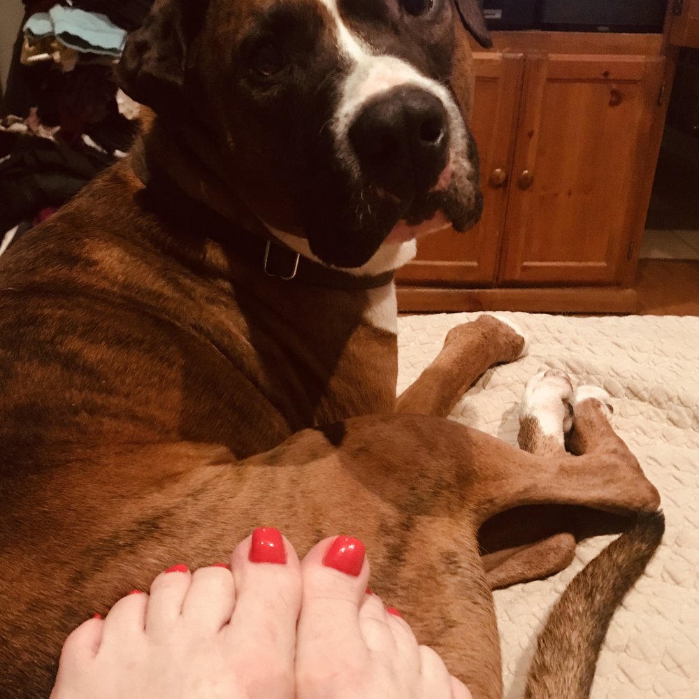 TARZANA NAIL & BEAUTY SALON 31 Photos & 84 Reviews 18405 Ventura