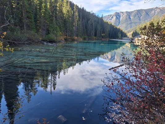 Kootenay National Park by null