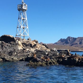 La Paz VIP Tours - Snorkeling Near Me - La Paz, BCS La Paz VIP Tours - Snorkeling Near Me - La Paz, BCS