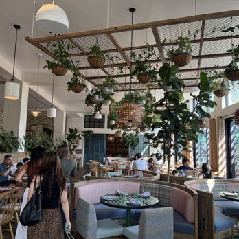 Valley Goat - New American Near Me - Sunnyvale, California