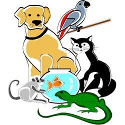 Family Animal Hospital - Family Animal Hospital