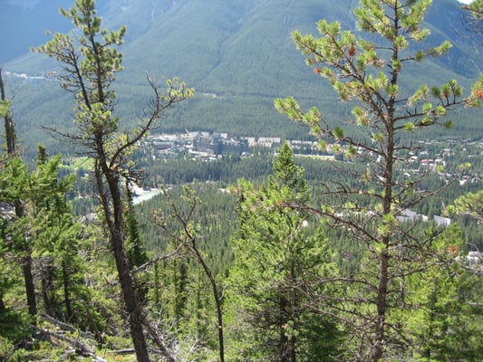 Tunnel Mountain Trail by null