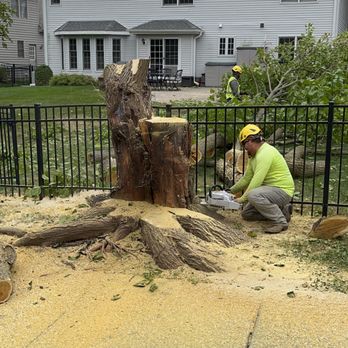 HGTS - Tight places, no problem. - Tree Services Near Me - Elburn, Illinois