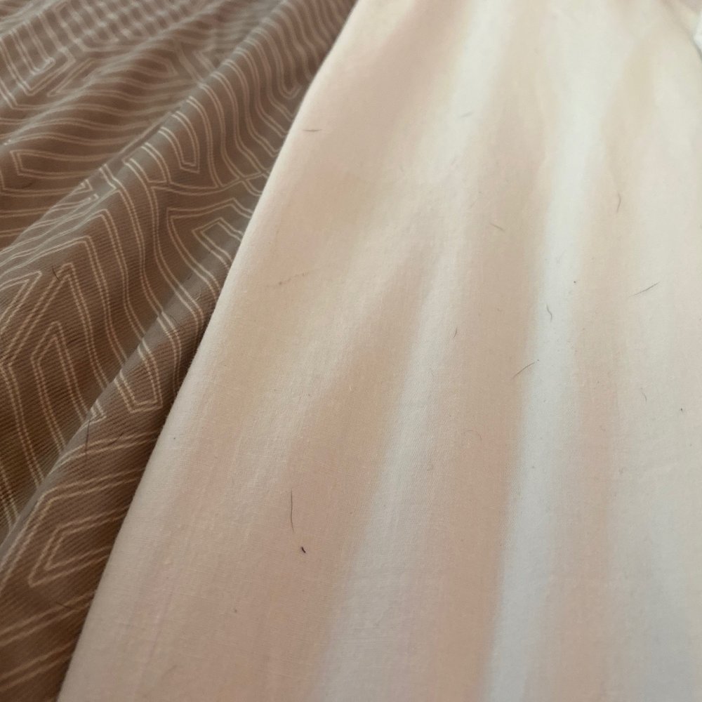 Motel 6 - Hair on the sheets upon arrival - Hotels Near Me - Natchitoches, Louisiana