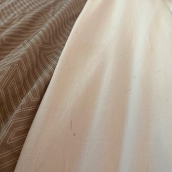 Motel 6 - Hair on the sheets upon arrival - Hotels Near Me - Natchitoches, Louisiana