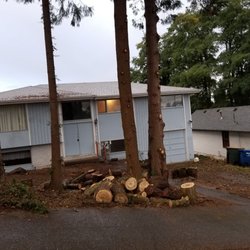 All Seasons Tree Service