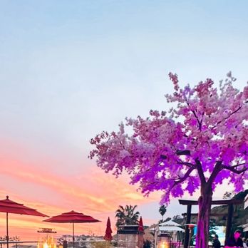 Sake House Malibu - Sunset view - Japanese Near Me - Malibu, California Sake House Malibu - Sunset view - Japanese Near Me - Malibu, California