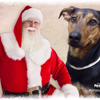 PetSmart - Christmas picture with Santa - Pet Groomers Near Me - Mt Prospect, Illinois