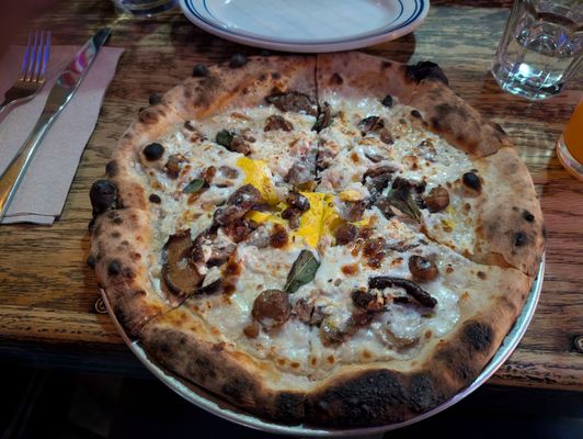 Speedy Romeo by null