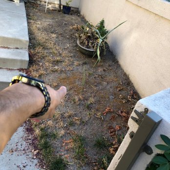 Jonathan Construction - Before artificial lawn - General Contractors Near Me - Culver City, California Jonathan Construction - Before artificial lawn - General Contractors Near Me - Culver City, California