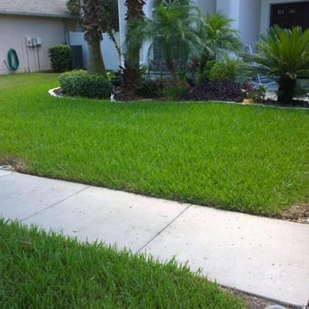 Greenworks - Pest Control Near Me - Plant City, Florida Greenworks - Pest Control Near Me - Plant City, Florida