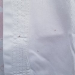 Lee's Cleaners - Blood???