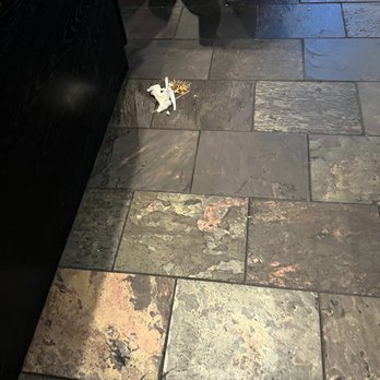 Cheddar's Scratch Kitchen - Dirty floors - American Near Me - Cordova, Tennessee