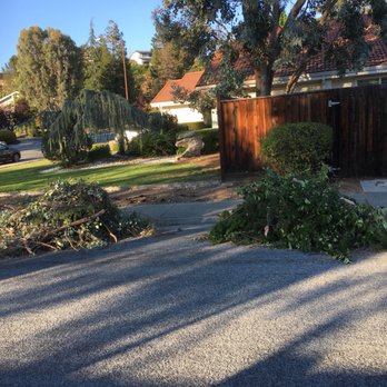 We Care Tree Care - Tree Services Near Me - San Jose, California We Care Tree Care - Tree Services Near Me - San Jose, California