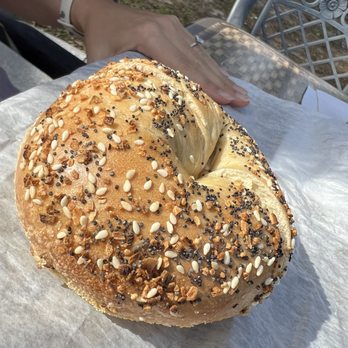 Big Apple Bagels - Everything bagel - Breakfast & Brunch Near Me - Lutz, Florida