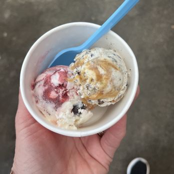Tavares Ice Cream - Two scoops in a cup - Ice Cream & Frozen Yogurt Near Me - Tavares, Florida Tavares Ice Cream - Two scoops in a cup - Ice Cream & Frozen Yogurt Near Me - Tavares, Florida