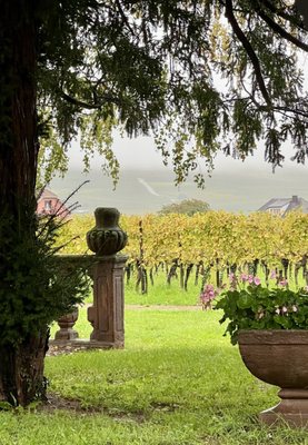 Domaine Weinbach by null