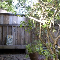 Foundation of the Sacred Stream
