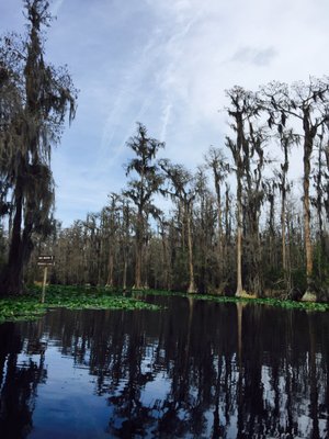 Stephen C Foster State Park by null