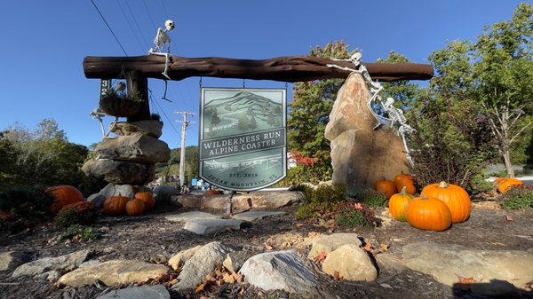 Wilderness Run Alpine Coaster by null