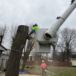 A Tree's Worth Tree Care