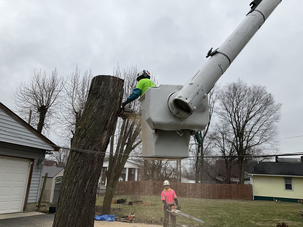 A Tree's Worth Tree Care - tree service in Indianapolis, IN