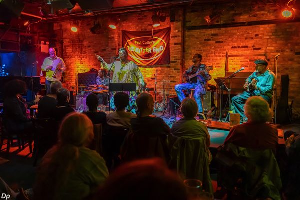 The Bitter End by null