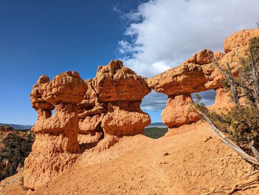 Dixie National Forest by null