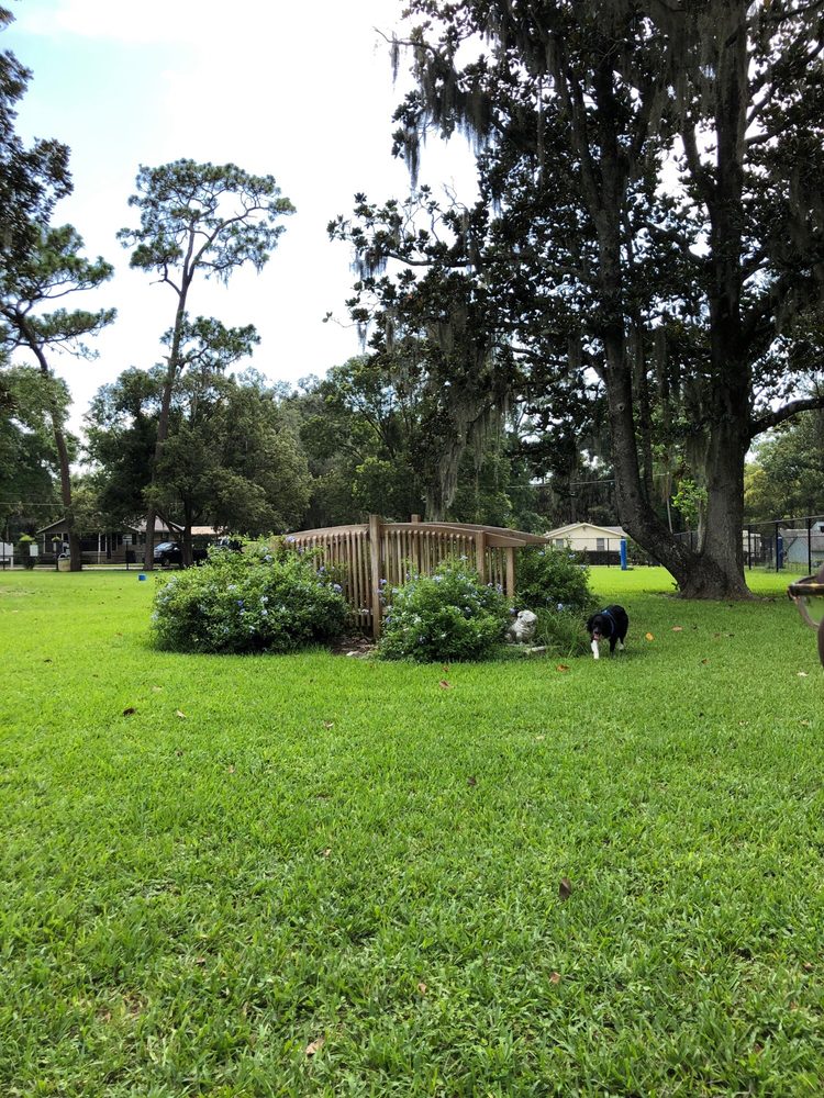 DOCTORS’ DOG PARK 26 Photos & 26 Reviews 21 N Highland Ave, Apopka