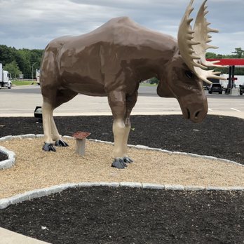 Kennebunk Service Plaza Northbound - Welcome moose - Rest Stops Near Me - Kennebunk, Maine