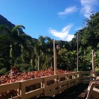 Casa Grande Mountain Retreat - Breakfast scenery! - Hotels Near Me - Utuado, Puerto Rico