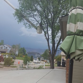 King Tree Service - Tree Services Near Me - Colorado Springs, Colorado King Tree Service - Tree Services Near Me - Colorado Springs, Colorado