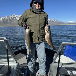 Crowley Lake Fish Camp - Good sized Rainbow and German Brown trout caught on May 9. 2024. Grateful for a fine day of fishing at Crowley Lake!
