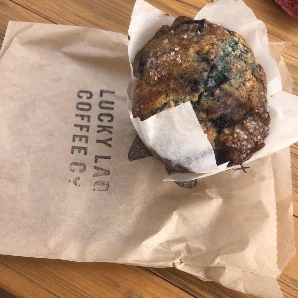 Lucky Lab Coffee - Blueberry muffin - Desserts Near Me - Austin, Texas Lucky Lab Coffee - Blueberry muffin - Desserts Near Me - Austin, Texas