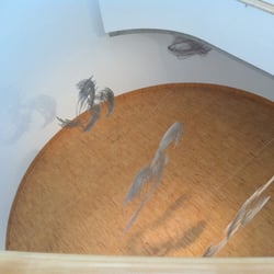 Essl Museum