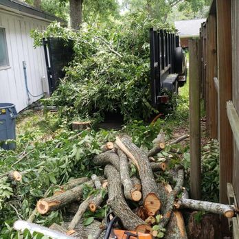 Timber in Systems - Tree Services Near Me