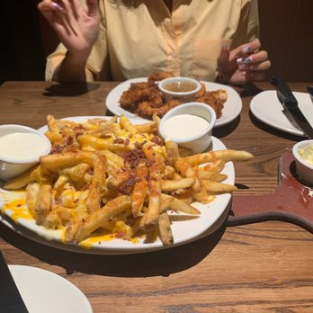 Outback Steakhouse - cheesy fries and coconut shrimp for appetizers - Steakhouses Near Me - Southgate, Michigan