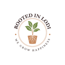 Rooted In Lodi