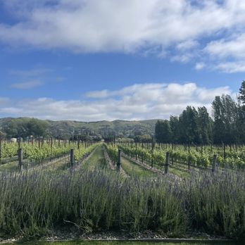 Melville Vineyards & Winery - Vineyard - Wineries Near Me - Lompoc, California Melville Vineyards & Winery - Vineyard - Wineries Near Me - Lompoc, California