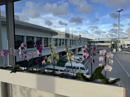 Naha International Airport by null