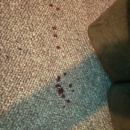 Carpet with blood from his nail