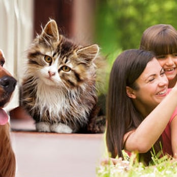 Forever Meadows - Pet Cremation Services Near Me - Frankfort, New York Forever Meadows - Pet Cremation Services Near Me - Frankfort, New York
